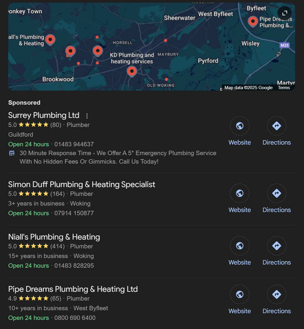 Plumber in Woking Google Maps  search results