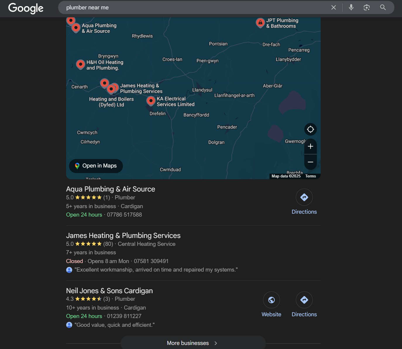 Screenshot of Google Map Pack showing local plumbers near Newcastle Emlyn